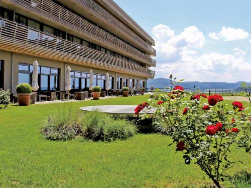 Roof garden with lawn, shrubs and rose bushes